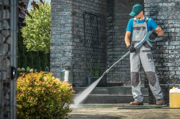 Best Building Exterior Washing  in Ovid, MI