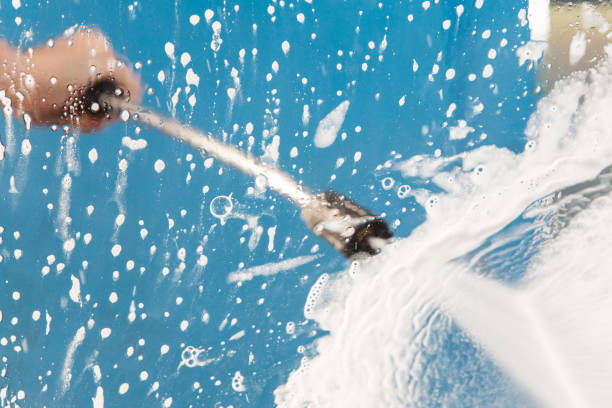 Best Paint Preparation  in Ovid, MI