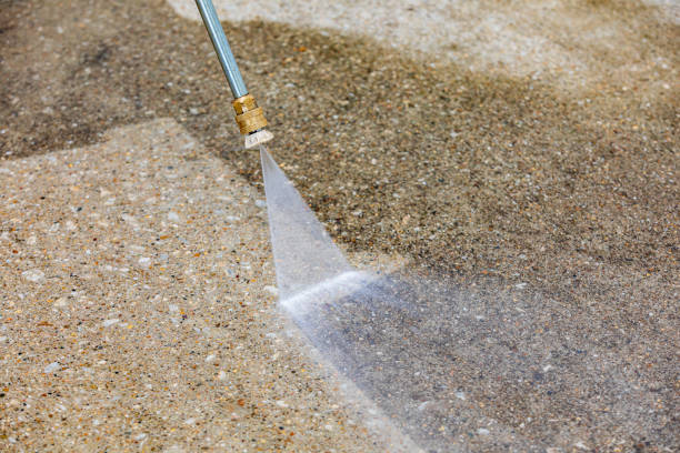 Best Fleet Vehicle Washing  in Ovid, MI